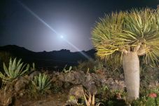 Casa en Buenavista del Norte - El Palmar - CHC - Casa Rural Dracaena