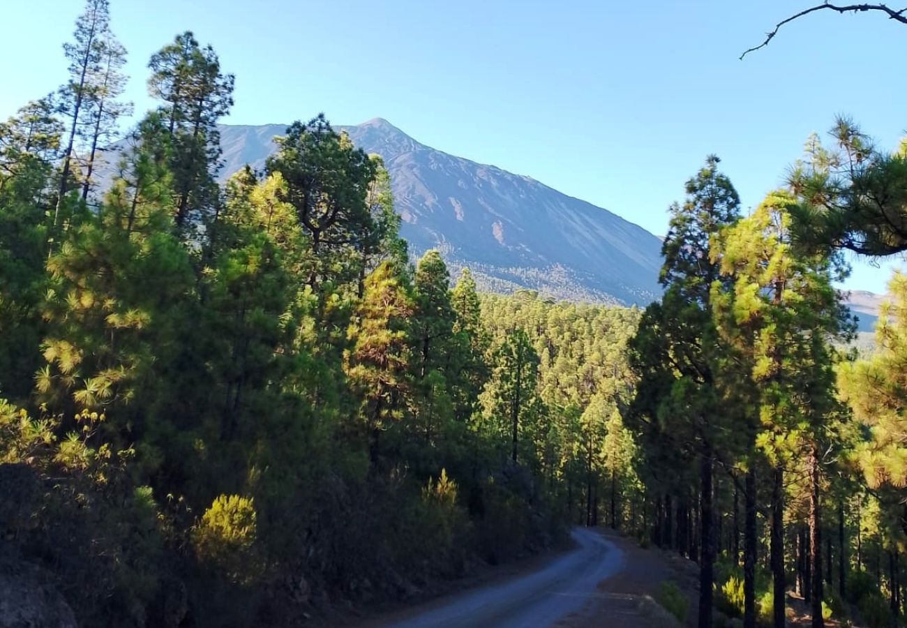Casa en Icod de los Vinos - Icod - CHC - Casa Socas