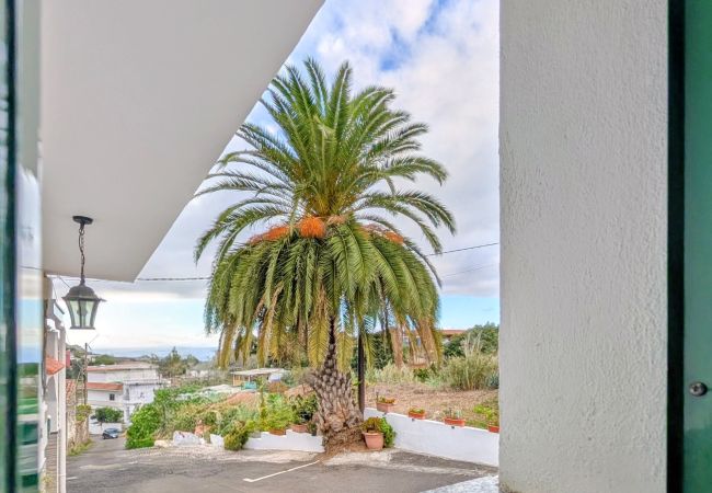 Apartamento en Los Silos - Tierra del Trigo - CHC - Casa Cira 2