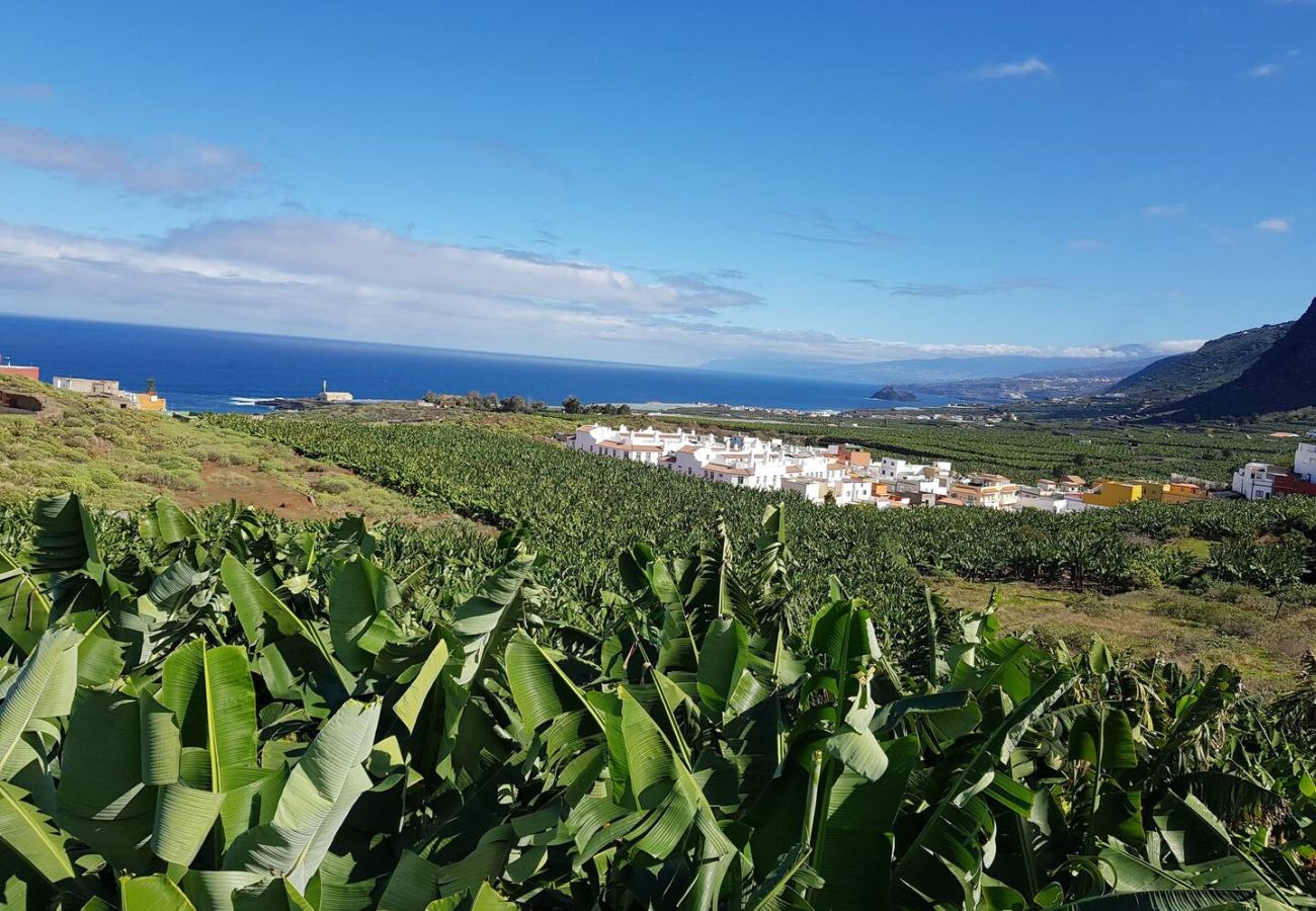 Apartment in Los Silos - Los Silos - CHC-Apartamento Tulipanes 