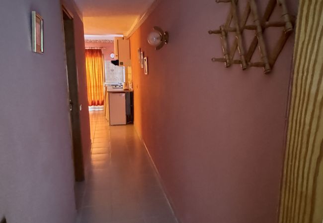 House in El Tanque - CHC - EL PEREGRINO 10